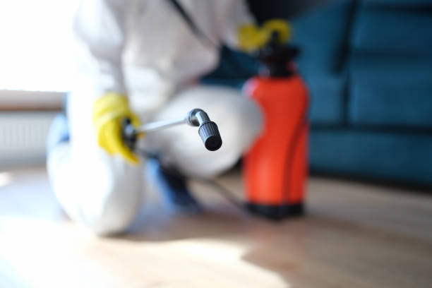 Best Real Estate Mold Inspection  in Emerson, NJ