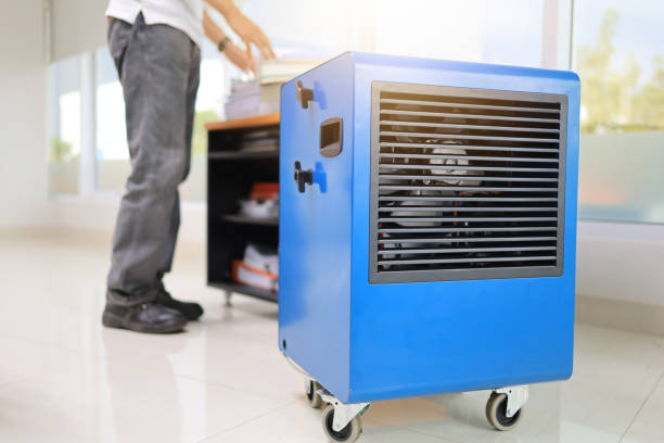 Best Basement Mold Removal  in Emerson, NJ